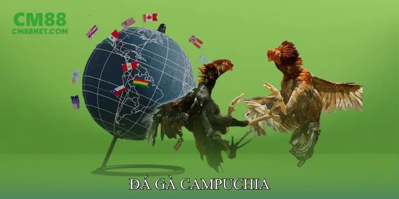 Đá Gà Campuchia
