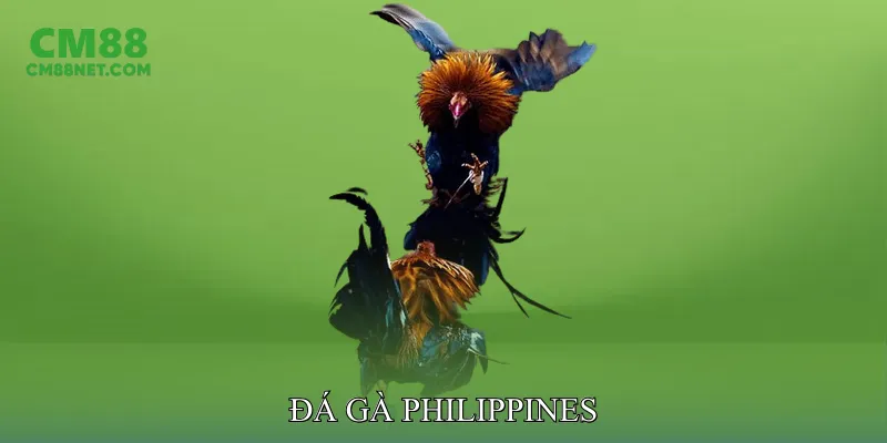 Đá Gà Philippines