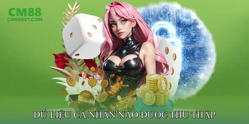 Dữ Liệu Cá Nhân Nào Được Thu Thập