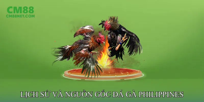 Lịch Sử và Nguồn Gốc Đá Gà Philippines
