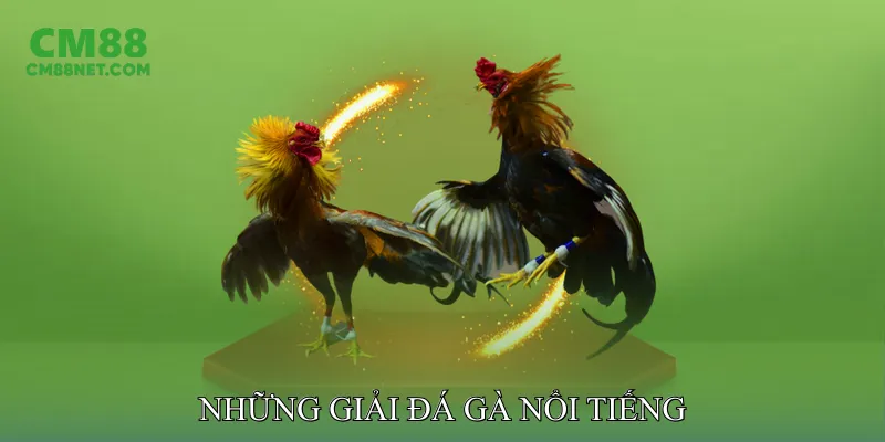 Những Giải Đá Gà Nổi Tiếng Trong Nước Và Quốc Tế