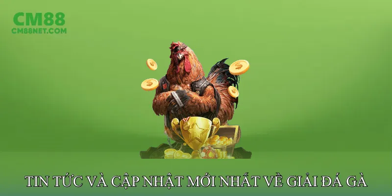 Tin Tức Và Cập Nhật Mới Nhất Về Giải Đá Gà